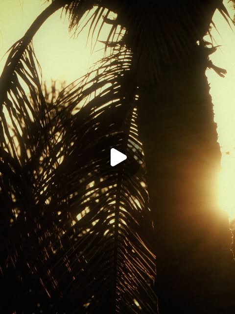 Filme institucional de Bagre produzido pela Maverick Creators